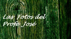 El blog de fotos del Profe José
